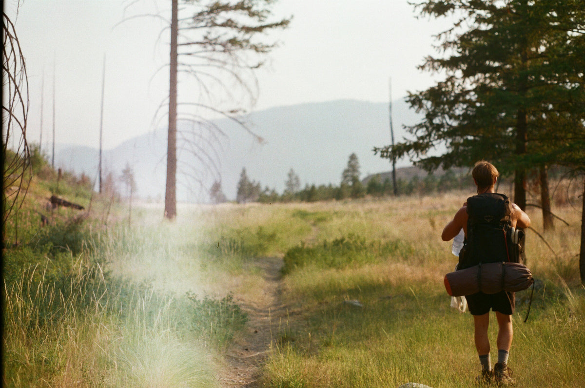 Trail through an Okanagan meadow