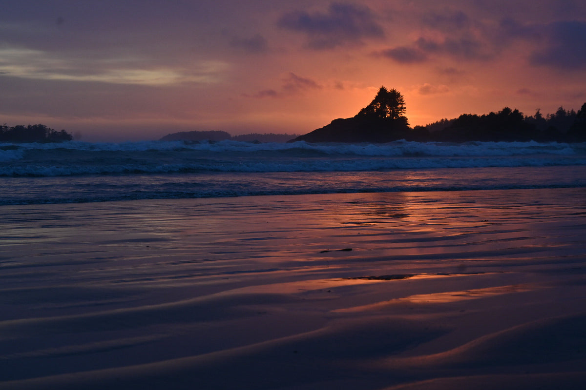 Tofino beach at sunset