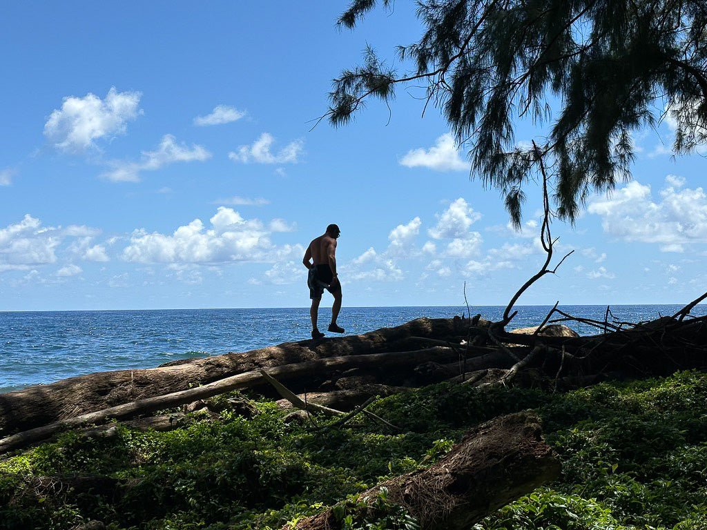 A man walking along fallen driftwood logs above the ocean on the British Columbia coast, pine branches framing a clear sky